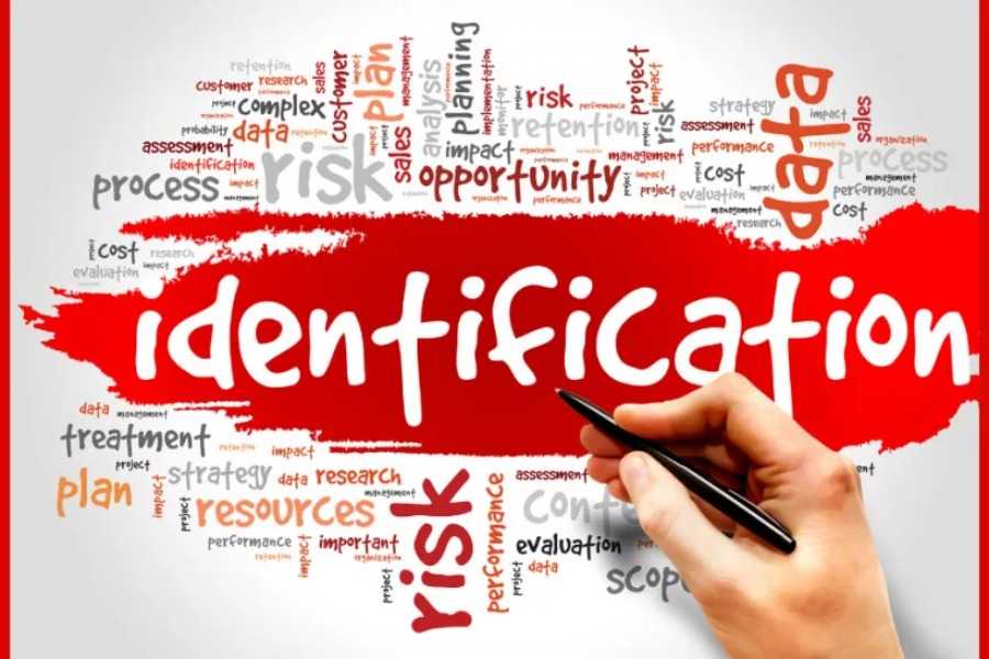 Identifying Risks in DeFi Projects